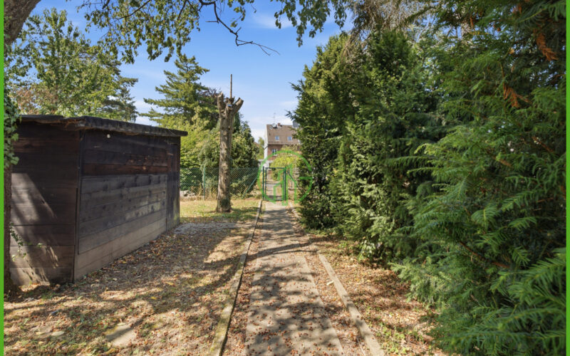 EG - Garten